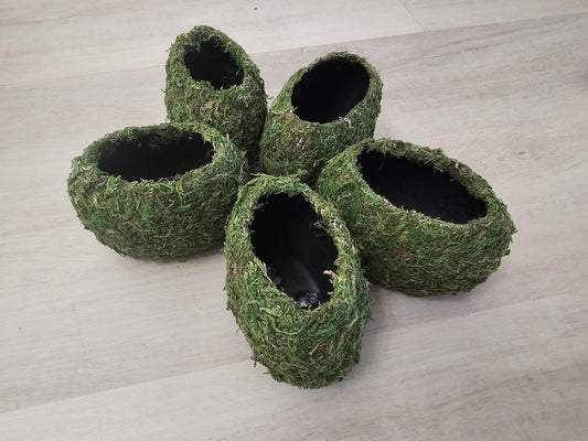 Ellipsoid Eden-3D Printed Reptile Hide