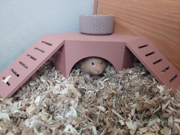 The Platform- 3D Printed Reptile Hide