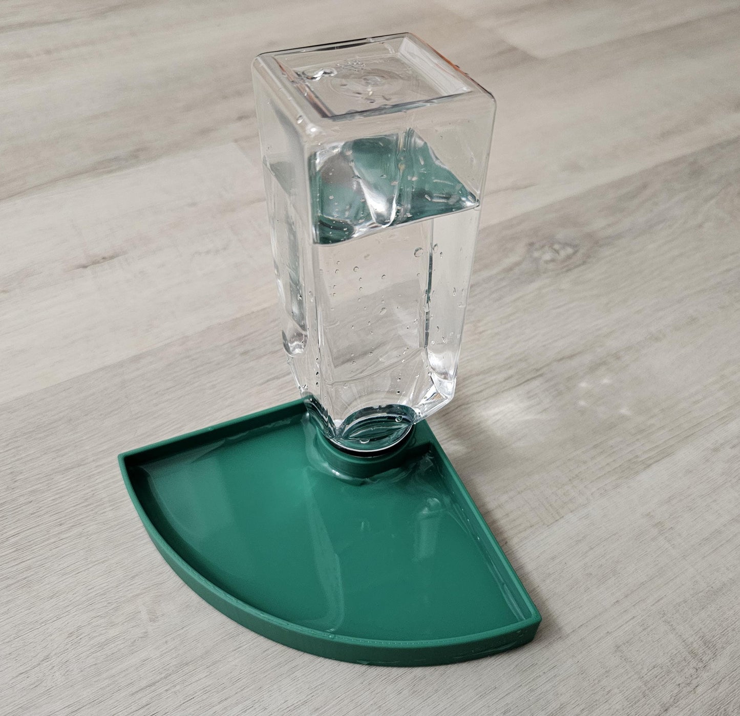 The ReptiOasis -3D Printed Water Dish