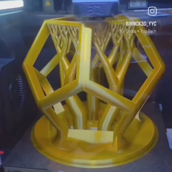 Snake DecaGym - 3D printed