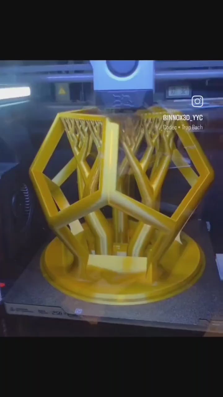 Snake DecaGym - 3D printed